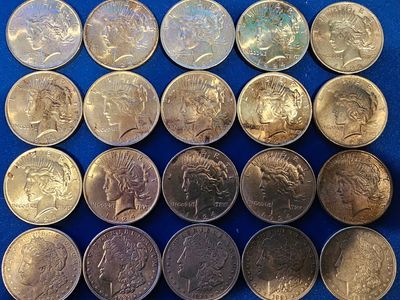 Beautiful Silver Dollars – BU/AU/XF – Pick the Best – Great Gift or Collection Piece