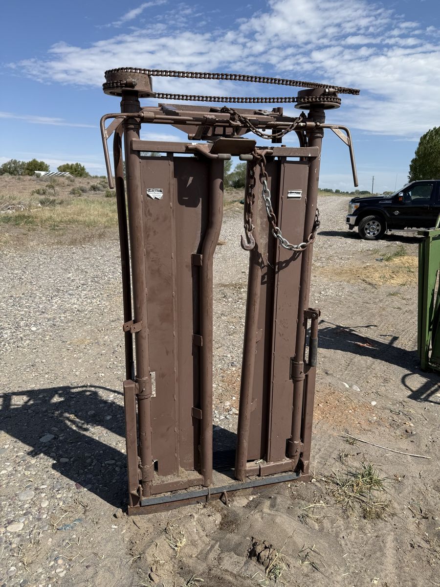 Cattle Head Catch