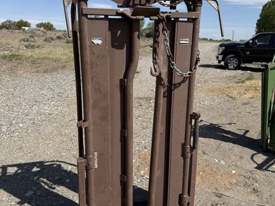 Cattle Head Catch