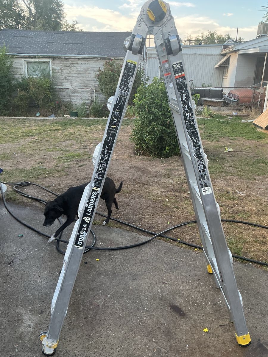 26’ gorilla ladder