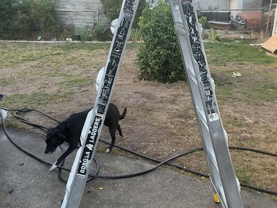 26’ gorilla ladder