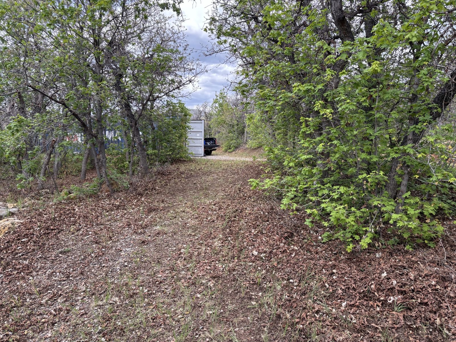 Main image 11