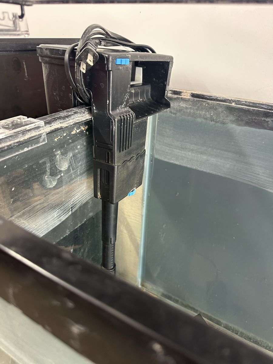 Main image 6