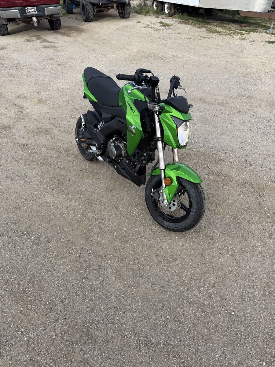 2017 Kawasaki Z125 PRO