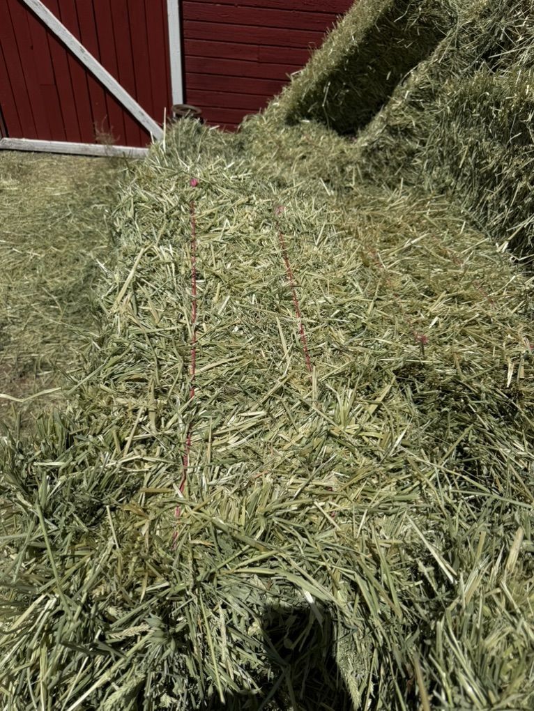 Main image 4