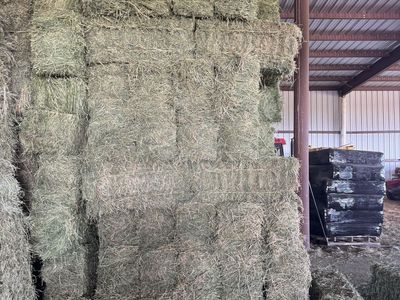 Premium Quality Alfalfa Hay Bales - Livestock Feed