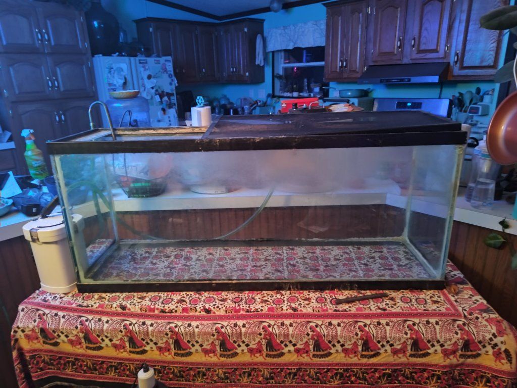 50 gallon fish tank
