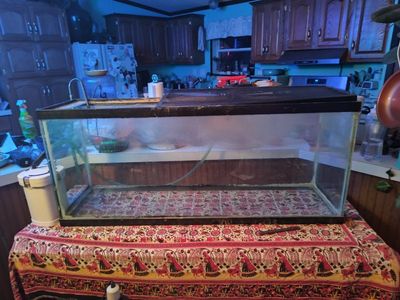 50 gallon fish tank