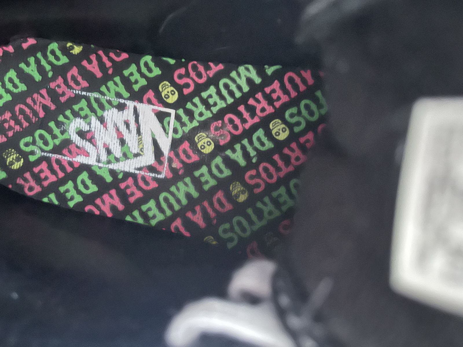Vans Sugar Skull Low Top -Newer