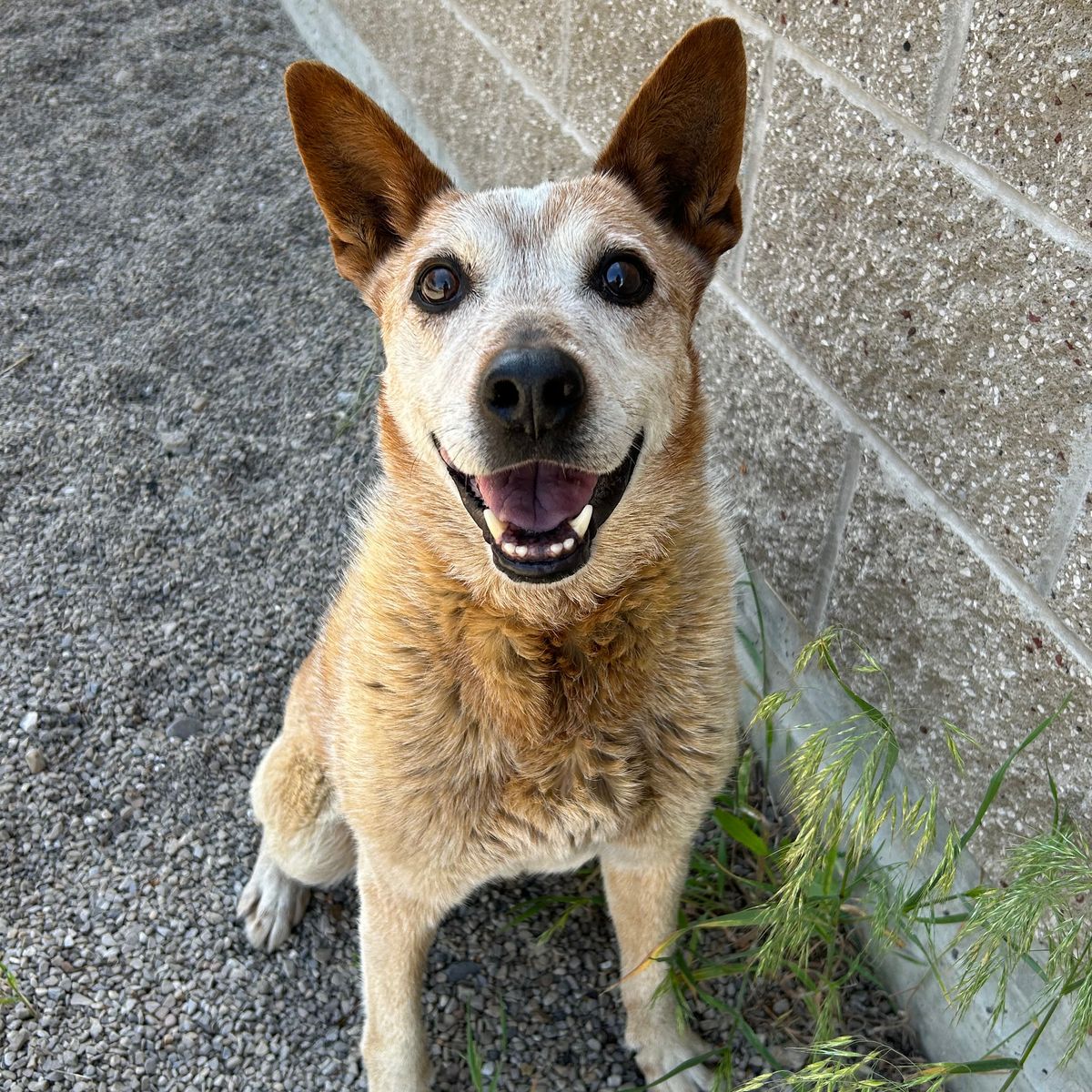 Charlie