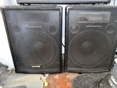 Passive PA Speakers