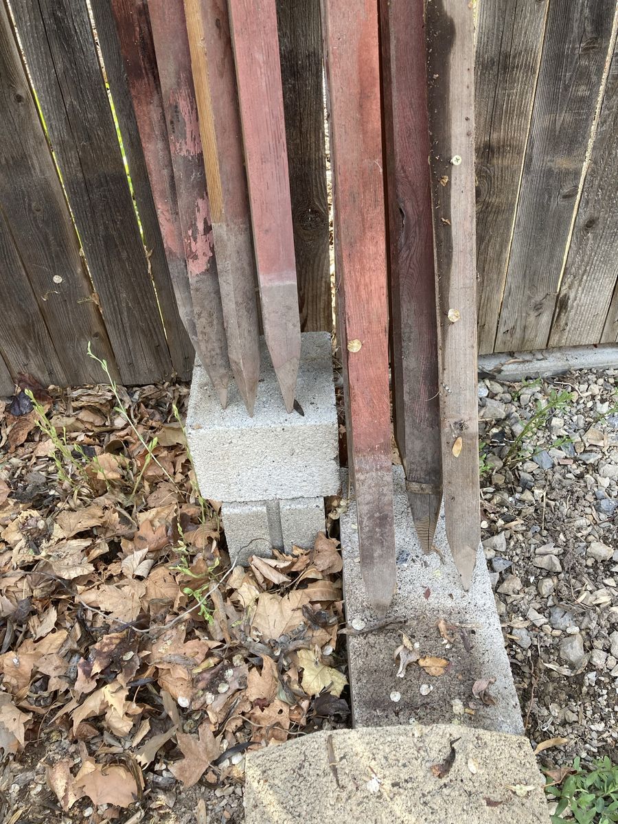 Tomato Stakes