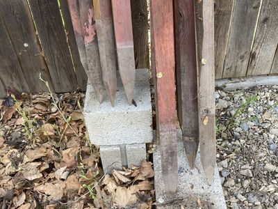 Tomato Stakes