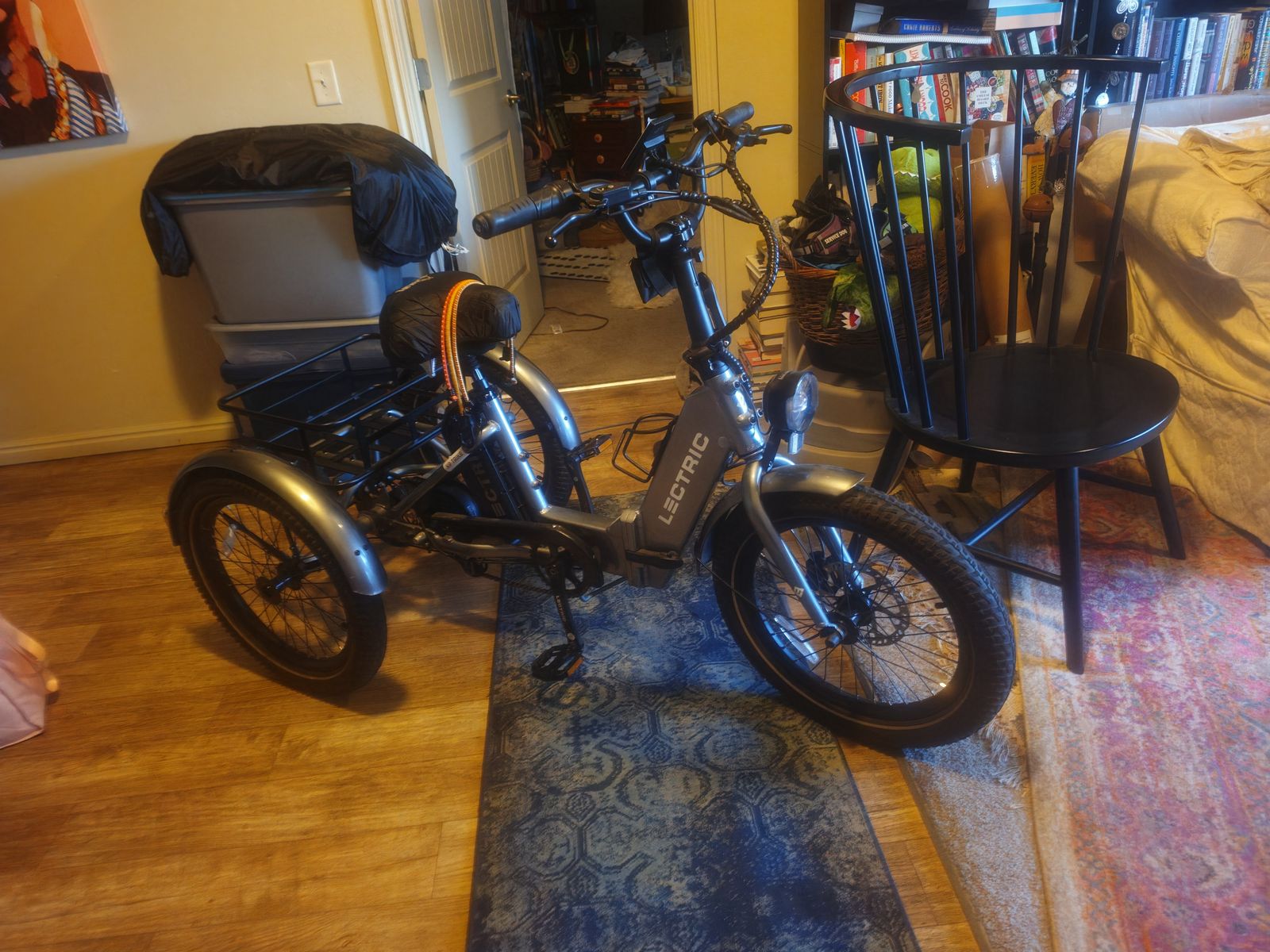 Lectric E-Trike for sale