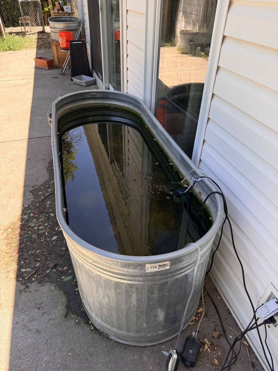 Pending…..170 Gallon Pond & Fish