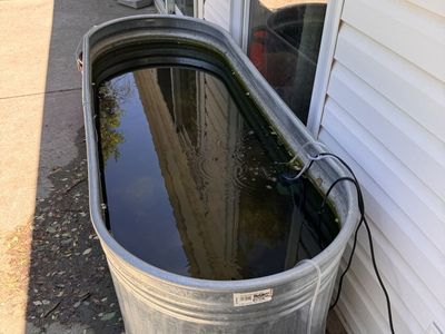 Pending…..170 Gallon Pond & Fish