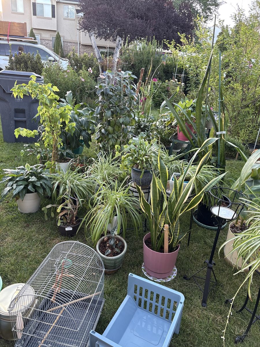 Yard sale/ estate sale in Lindon