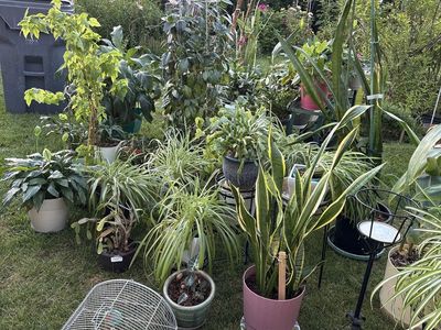 Yard sale/ estate sale in Lindon