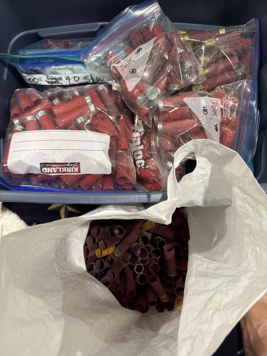Assorted Shotgun 100+