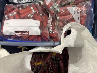 Assorted Shotgun 100+