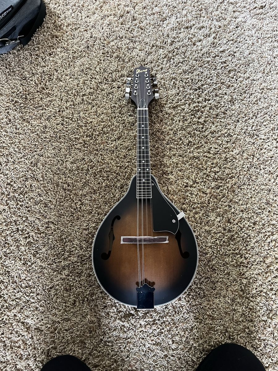 Ibanez mandolin brand new