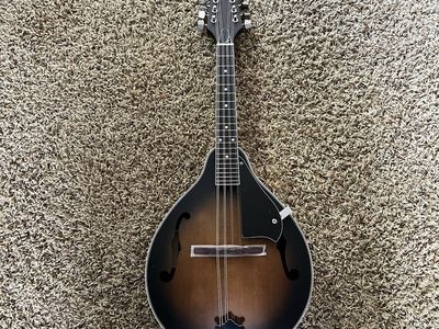 Ibanez mandolin brand new