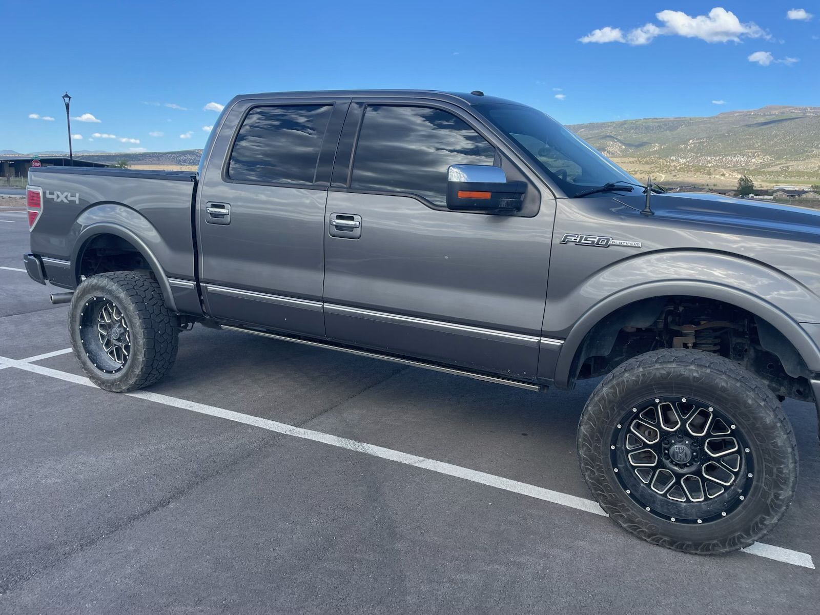 2009 Ford F-150 Platinum