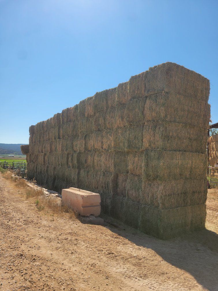Great 2nd crop Feeder hay