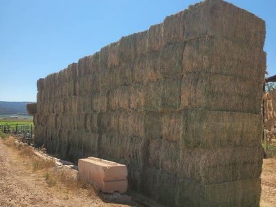 Great 2nd crop Feeder hay