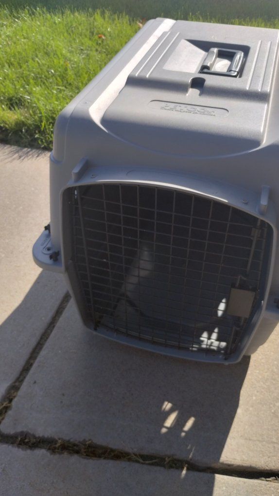 Petco Gray Plastic Pet Carrier Dog Cat Crate Travel Kennel with Top Handle
