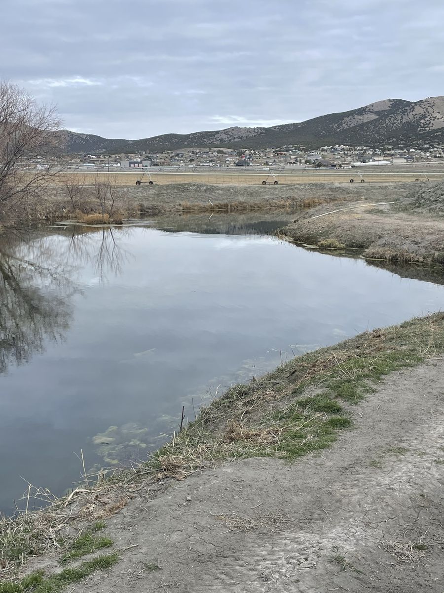 Private ranch fly fishing