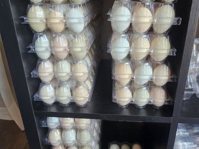 eggs chicken and duck