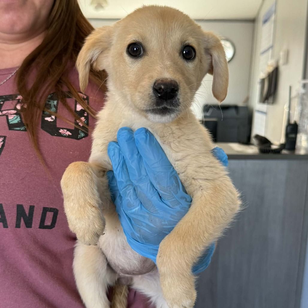 Hello my name is Cork