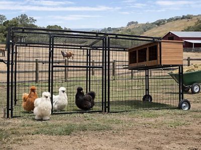 Mobile Chicken Coop / Chicken Tractor