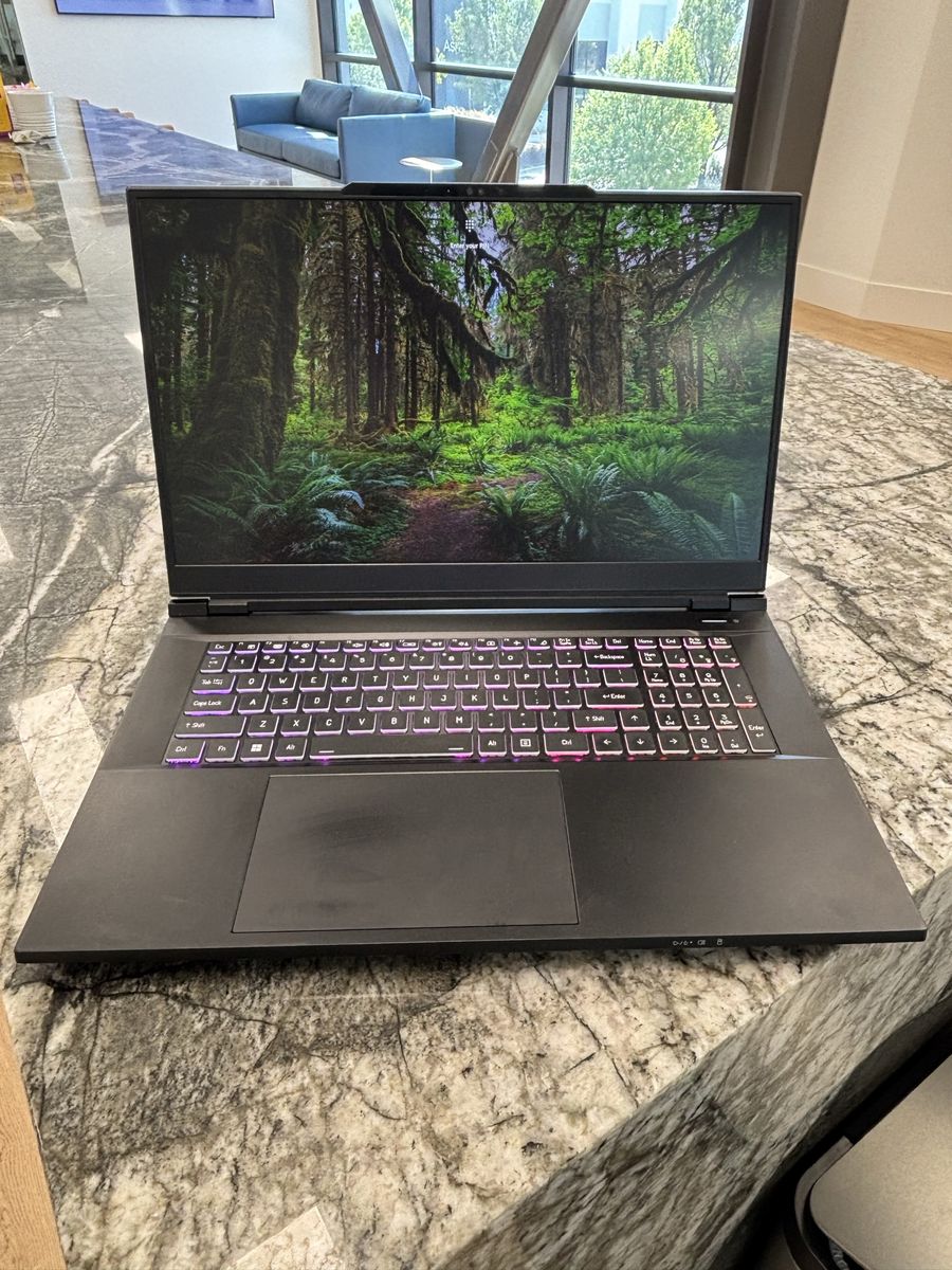 Custom PC Laptops 17.3" Gaming Laptop (Intel i9-14900HX, RTX 4090, 64GB RAM, 1TB SSD)
