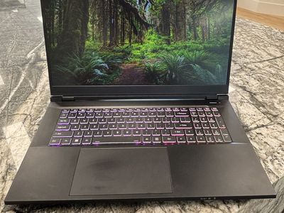 Custom PC Laptops 17.3" Gaming Laptop (Intel i9-14900HX, RTX 4090, 64GB RAM, 1TB SSD)
