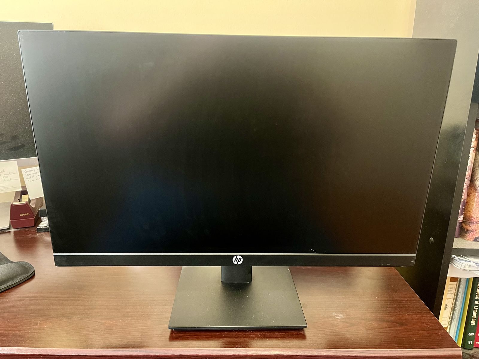 HP P244 23.8-inch Display Monitor - Used