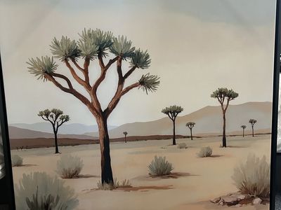 Desert canvas print with floating black frame