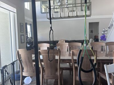 Dog Grooming Harness