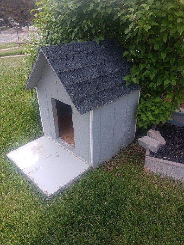 Dog House
