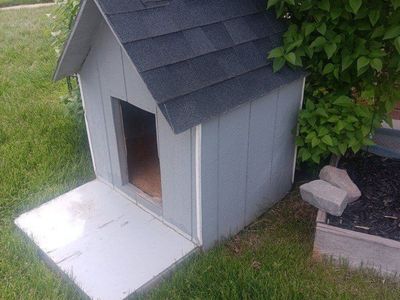 Dog House