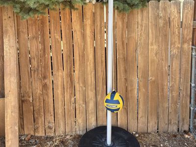 Lifetime Portable Tetherball Tether Ball System backyard outdoor Game Ball Included Kids Adult Children Fun