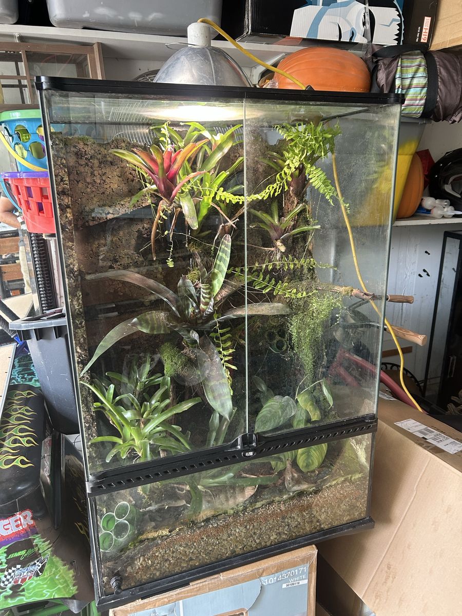Exo Terra tank 
