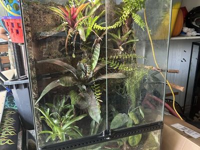 Exo Terra tank