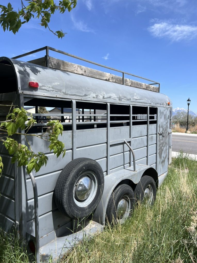 Horse/stock Trailor