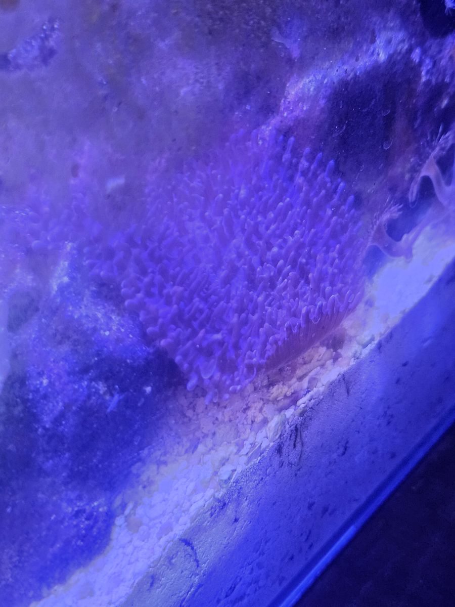 Main image 2