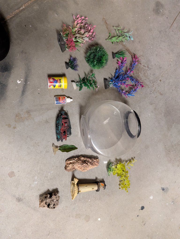 Plastic Fish Bowl Starter Kit