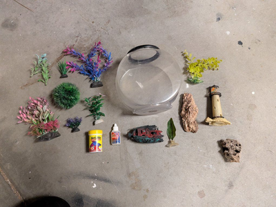Plastic Fish Bowl Starter Kit