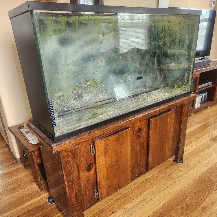 55 Gallon Aquarium w/ Stand