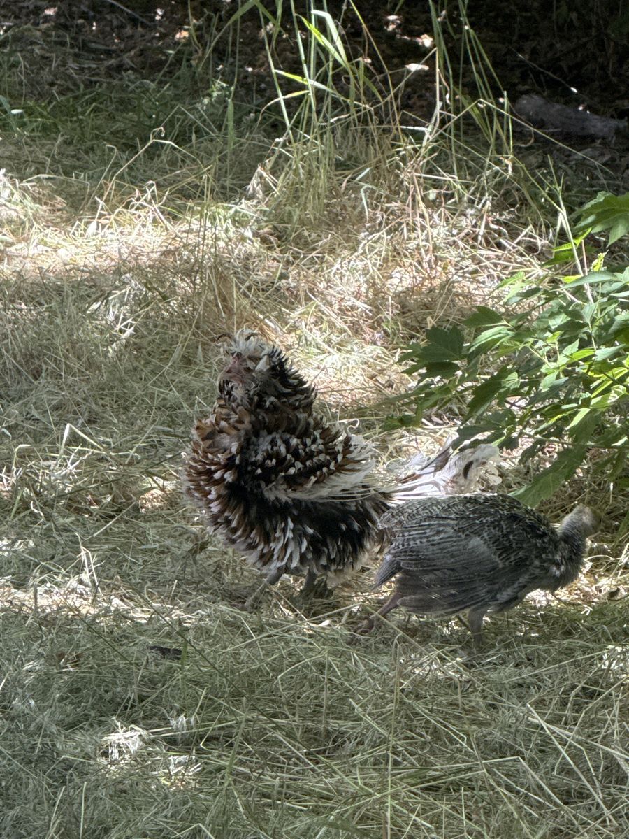 Main image 7